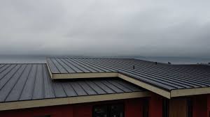 Best Rubber Roofing (EPDM, TPO)  in Sparkill, NY